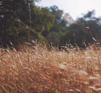 上海大鲨鱼主场惨败，球队士气低迷