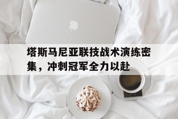 1xBit体育vip注册-包含塔斯马尼亚联技战术演练密集，冲刺冠军全力以赴的词条