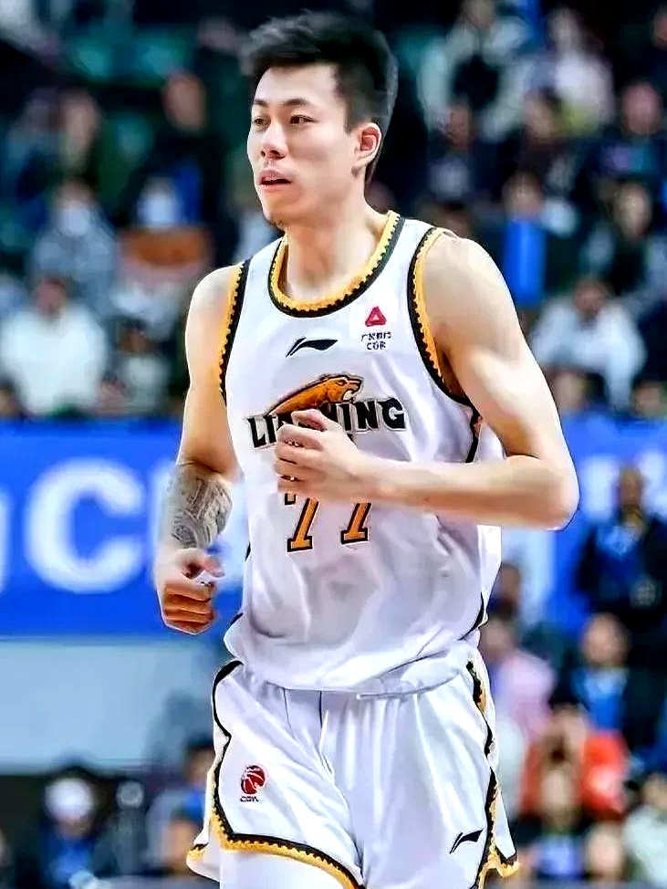 辽宁队凭借实力打出精彩表现，备受期待